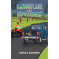 Camouflage on the Highway