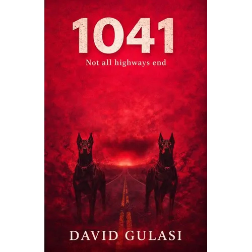 1041