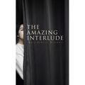 The Amazing Interlude: Spy Mystery Novel