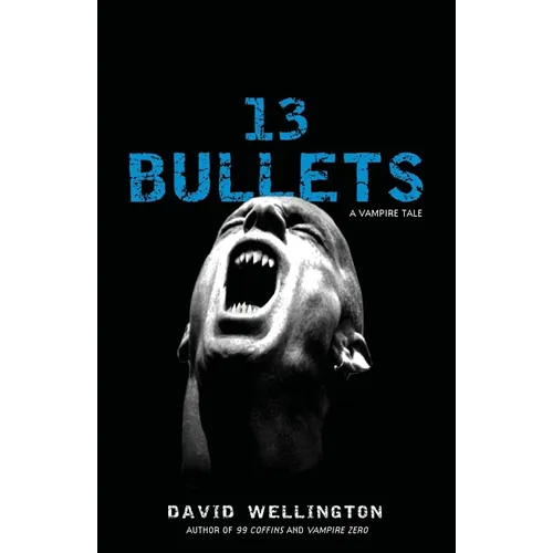 13 Bullets