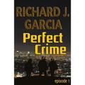 Perfect Crime Episode 1 The Engagement: Mystery (Thriller Suspense Crime Murder psychology Fiction)Series: Horror Thriller Short story