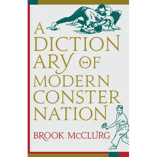 A Dictionary of Modern Consternation