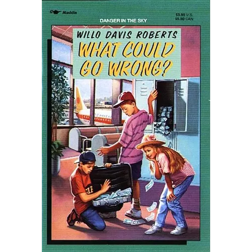 What Could Go Wrong?