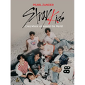 Stray Kids: Everywhere All Around the World