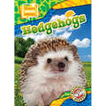 Hedgehogs