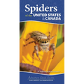 Spiders of the United States & Canada: Easily Identify 158 Common Species