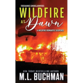 Wildfire at Dawn: a wildfire smokejumper romantic suspense