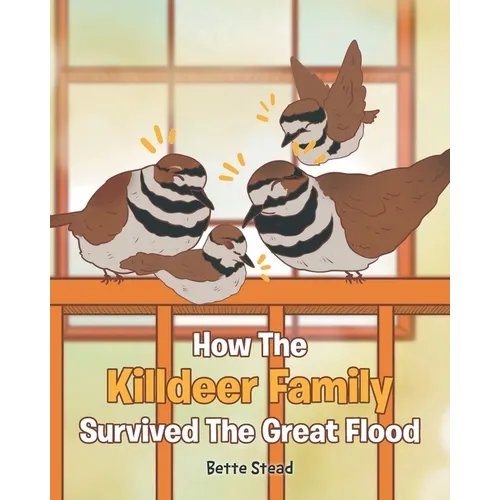 How The Killdeer Family Survived The Great Flood
