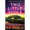 Two Little Souls: An absolutely addictive mystery thriller