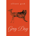 Grey Dog
