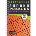 Large Print Sudoku Puzzles Orange